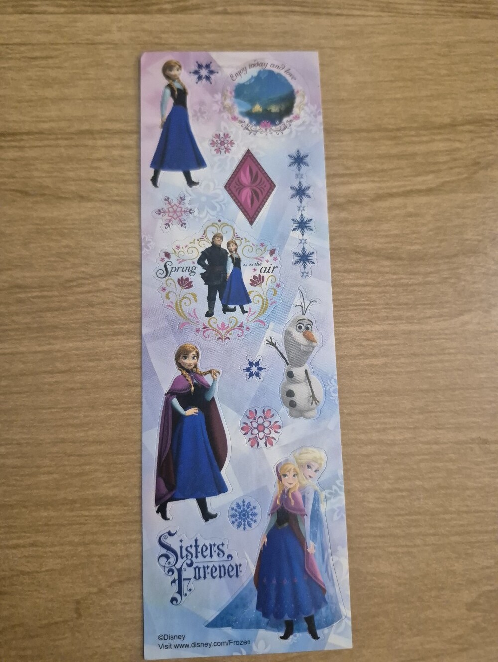 Disney Frozen Sisters Forever Pink and Blue Sticker Sheet